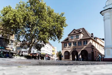 Ein heller Platz mit einer großen Platane und historischen Gebäuden. Menschen gehen umher und genießen die dichte Atmosphäre.