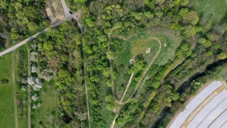 Eine grüne Landschaft mit dichten Bäumen und einem gekrümmten Weg. Im Hintergrund verläuft ein Fluss entlang der Vegetation.
