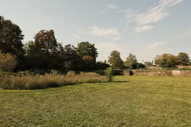 Eine weitläufige Wiese umgeben von Bäumen und Sträuchern. Der Himmel ist klar mit einigen Wolken.