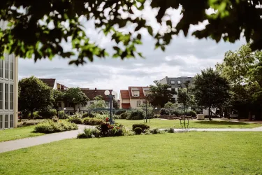 Ein schöner Park mit gepflegten Grünflächen und verschiedenen Bäumen. Im Hintergrund sind Häuser sichtbar, die eine ruhige Wohngegend darstellen.