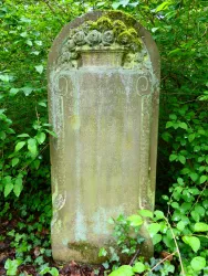 Ein alter Grabstein, umgeben von dichtem Grün und Pflanzen. Die Inschrift ist kaum lesbar und die Oberfläche zeigt Verwitterungsspuren.