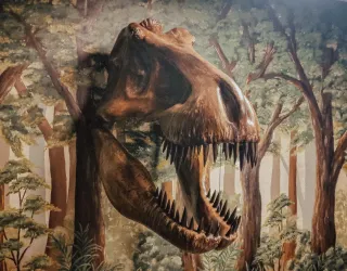 Ein beeindruckendes Wandgemälde eines Dinosaurier-Schädels im Wald. Die Szene zeigt dichte Bäume und ein lebendiges, prähistorisches Ambiente.