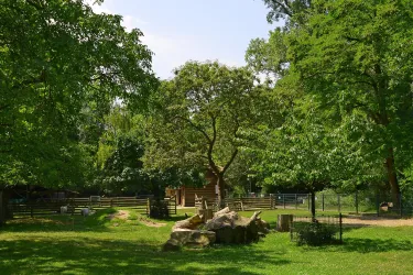 Eine grüne Landschaft mit großen Bäumen und einem ruhigen Bereich. Im Hintergrund sind Zäune und eine kleine Farm zu sehen.