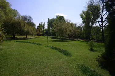 Eine grüne Wiese mit vielen Bäumen und Büschen. Der Himmel ist klar und blau.