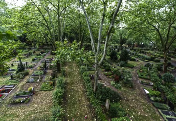 Ein ruhiger Friedhof mit zahlreichen Gräbern, umgeben von hohen Bäumen. Der Platz ist grün und einladend, mit Wegen zwischen den Grabstellen.