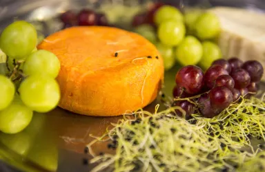 Ein runder oranger Käse liegt zusammen mit grünen und roten Trauben auf einem silbernen Teller. Um den Käse sind grüne Sprossen angeordnet.
