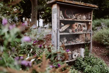 Ein Insektenhotel aus Holz steht in einem Garten. Es ist mit verschiedenen Naturmaterialien gefüllt und von bunten Blumen umgeben.