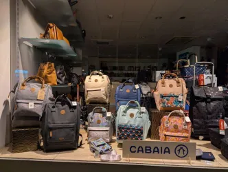 Eine Auswahl an Rucksäcken in einem Schaufenster. Die Rucksäcke haben verschiedene Farben und Muster.
