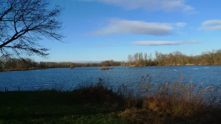 Baggersee