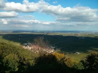 Blick auf die Rheinebene (© Ferienwohnungen Am Pfaffensee)
