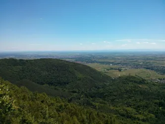 Blick auf die Rheinebene (© Ferienwohnungen Am Pfaffensee)