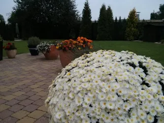 Blick in den Garteb (© Ferienwohnungen Am Pfaffensee)