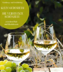 Zwei Weingläser mit weißem Wein stehen neben Trauben auf einem Holztisch. Im Hintergrund sind grüne Weinreben zu sehen.