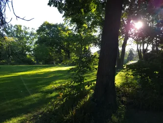 Ein ruhiger Park mit grünen Wiesen und hohen Bäumen. Die Sonne scheint durch die Blätter und schafft eine angenehme Atmosphäre.