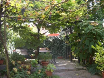 Hof im Sommer mit Sitzplatz