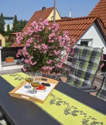 Terrasse Tisch uund Oleander 5 (2)