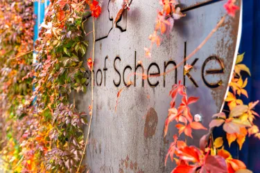 Ein dekoratives Schild mit der Aufschrift "Hof Schenke", umgeben von buntem Efeu. Die Pflanzen verleihen der Szene eine einladende und natürliche Atmosphäre.