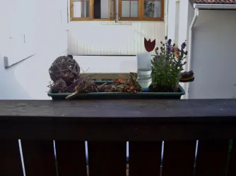 Balkon2