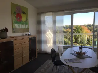 Blick Sitzbereich auf Rheinauen