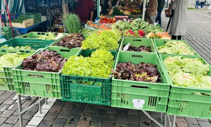 Obst & Gemüsestand (© Tourist Information Speyer)