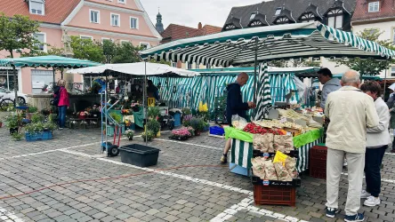Gemüse und Pflanzen (© Tourist Information Speyer)