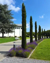 Unsere großzügige Parkanlage lädt zum Durchatmen und Auftanken ein.