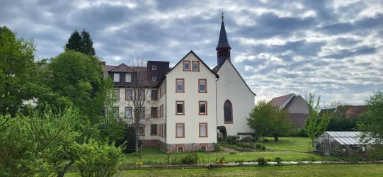 Blick aus dem Ferienhausfenster