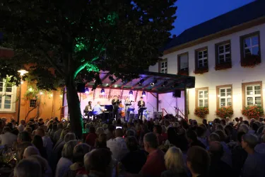 Ein lebhaftes Konzert im Freien bei Nacht. Viele Menschen genießen die Musik und die festliche Atmosphäre.