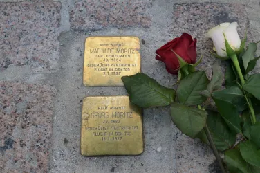 Stolpersteine mit Rosen (© Stadt Speyer)