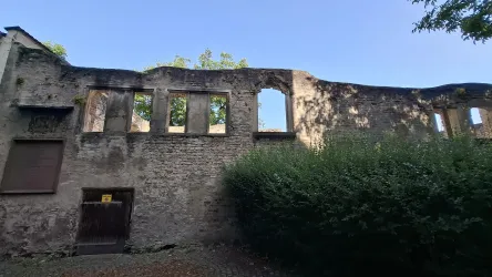 Retscherruine Front (© Tourist-Information Speyer)