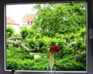Aussicht Park im Sommer
