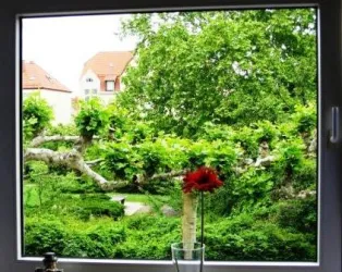 Aussicht aus dem Fenster