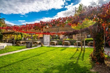 Ein schöner Garten mit grünem Rasen und buntem Laub. Es gibt Holztafeln, die zum Sitzen einladen, und einen klaren Himmel im Hintergrund.