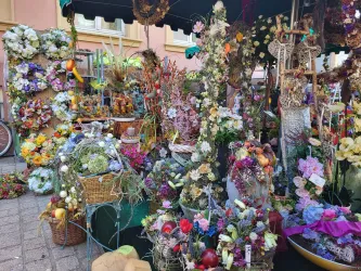 Ein bunter Marktstand voller Blumen und dekorativer Pflanzen. Vielfalt von Farben und Formen schafft eine lebendige Atmosphäre.