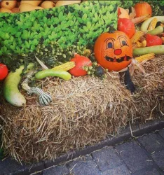 Ein bunten Herbstmarkt mit einer Heuballen-Dekoration. Auf dem Heu liegen verschiedene Gemüse und ein bemalter Kürbis mit einem fröhlichen Gesicht.