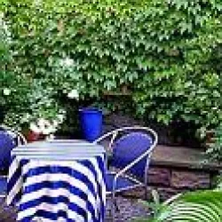 Garten Holunderblick