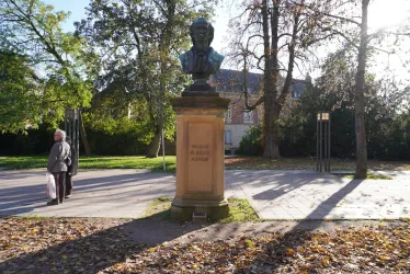 Büste Schwerd