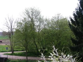 Balkonblick