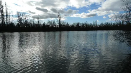 Baggersee
