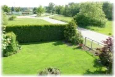 Blick aus dem Fenster