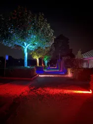 Ein nächtlicher Weg, beleuchtet von farbigen Lichtern in Blau und Rot. Auf beiden Seiten stehen Bäume, die sanft angestrahlt werden.