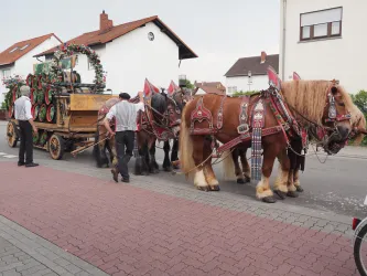 Ein festlicher Wagen mit prächtigen Pferden steht auf der Straße. Die Pferde tragen festliche Geschirre und ziehen einen mit Blumen dekorierten Anhänger.