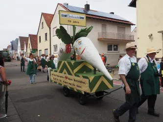 Ein Festumzug mit einem Wagen, der große weiße Rüben präsentiert. Menschen in traditioneller Kleidung begleiten den Wagen auf der Straße.