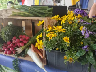 Ein Holzkasten mit frischem Gemüse und bunten Blumen. Darunter befinden sich Radieschen und Zwiebeln in lebendigen Farben.