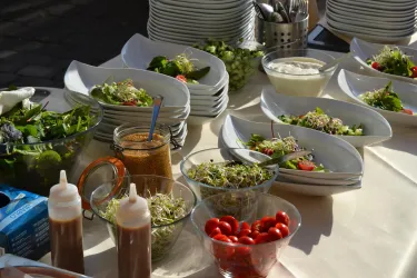 Grillen_2