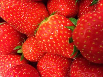 Erbeeren