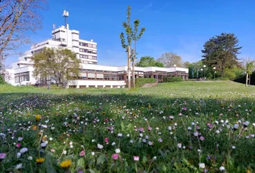 HPH_Frühling_Ostseite_2024_03