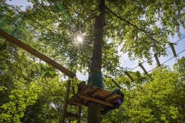 Kletterwald Speyer