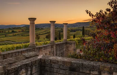 Drei Säulen auf einer Mauer in einem Weinberg bei Sonnenuntergang