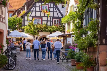 Menschen laufen durch kleine Gasse mit Begrünung und Fachwerkhäusern